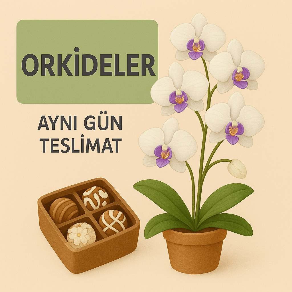 Orkidelerimiz